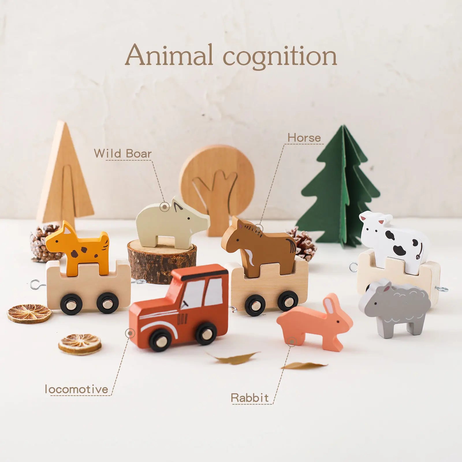 Set of wooden animal toys with labels on a white background